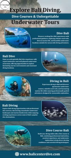 Explore Bali Diving, Dive Courses & Unforgettable Underwater Tours