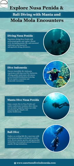 Explore Nusa Penida & Bali Diving with Manta and Mola Mola Encounters