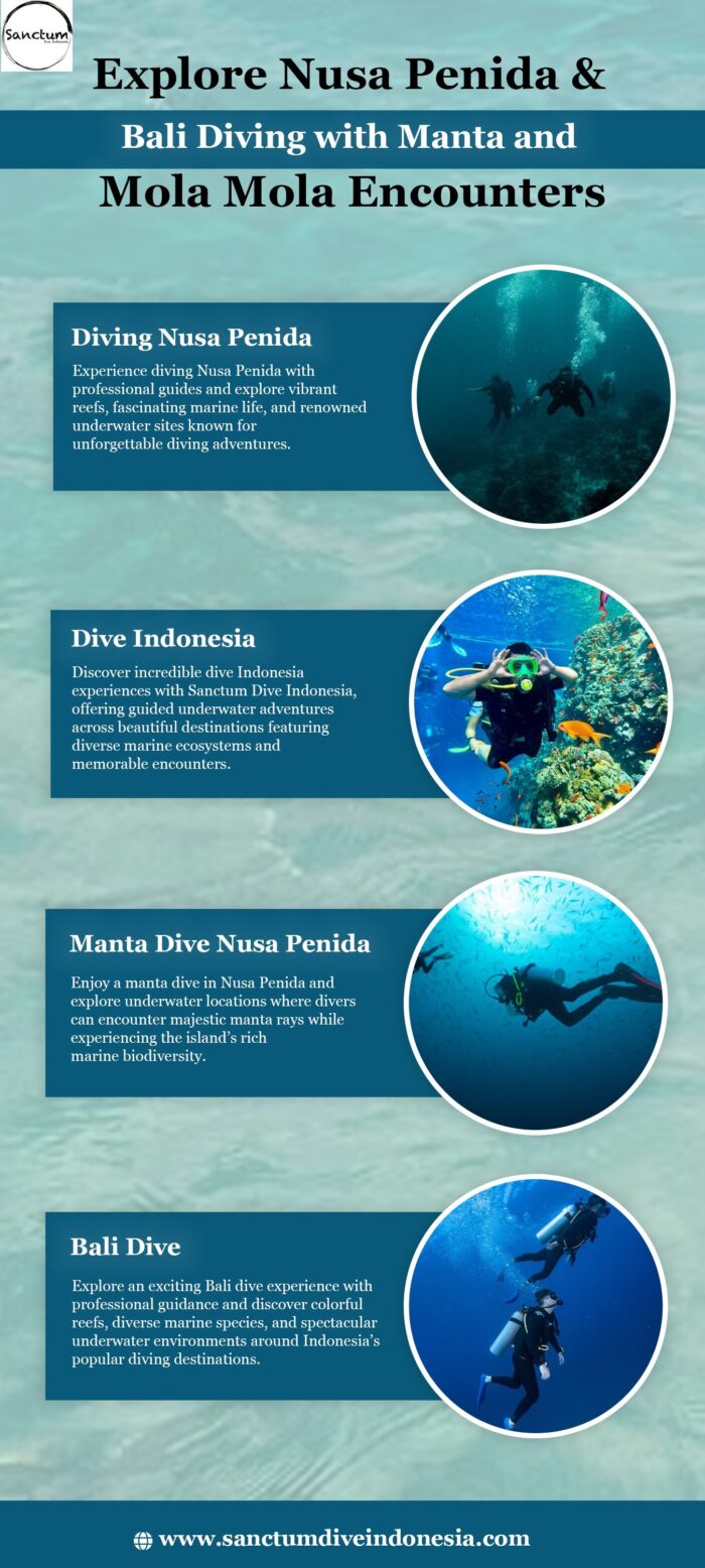 Explore Nusa Penida & Bali Diving with Manta and Mola Mola Encounters
