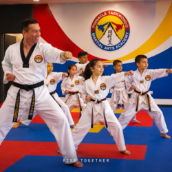 MARTIAL ARTS Marrickville