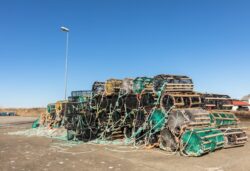 Scrap Metal Wyong | Scrap Metal Recycling & Pickup