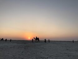 Rann of Kutch Tour Packages