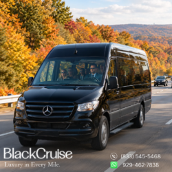 chauffeur services near me usa