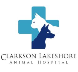 Reliable assistance with Animal Export Certificate Mississauga for compliant and smooth pet relo ...