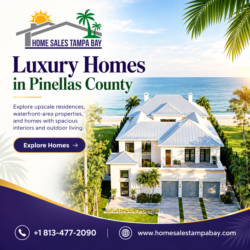 Luxury Homes in Pinellas County