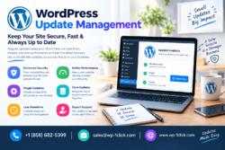 Reliable WordPress Updates & Website Security | Wp-1click